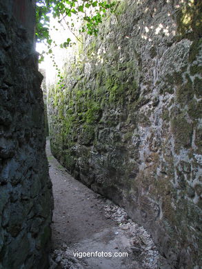 El casco hist�rico de Baiona. 