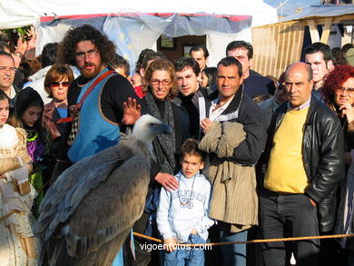 FALCONRY. DEMONSTRATION IN THE FESTIVAL arrival - BAIONA