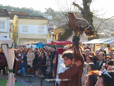 Demostraci�n de cetrer�a
(Fiesta de la Arribada)
. 