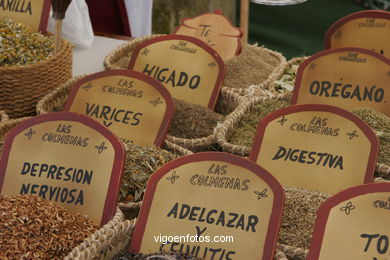 Puestos del Real Mercado de la Fiesta de la Arribada - Baiona.