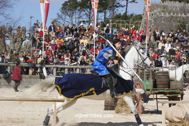 Torneo de justas, tiro de venablos y derribo del estafermo en la playa de Ribeira. Fiesta de la arribada - Baiona. 