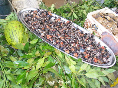 Marisco - Gastronom�a - Baiona. 