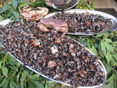 Marisco - Gastronom�a - Baiona. 