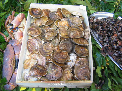 Marisco - Gastronom�a - Baiona. 