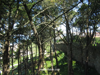 Bosque Interior . 