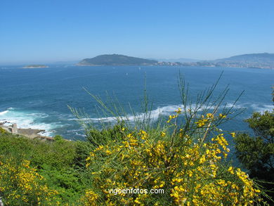 Vistas desde la  Fortaleza de Monterreal - Baiona. 