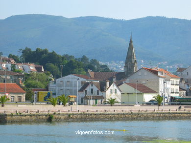 Marisma del r�o Mi�or (Baiona). 