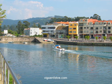 Marisma del r�o Mi�or (Baiona). 