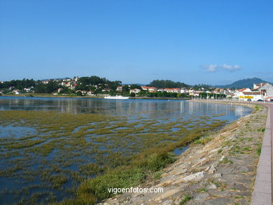 Marisma del r�o Mi�or (Baiona). 