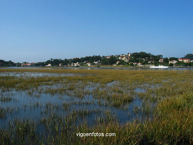 Marisma del r�o Mi�or . 
