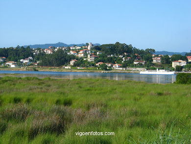Marisma del r�o Mi�or (Baiona). 