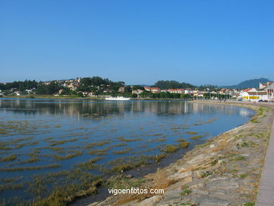 Marisma del r�o Mi�or (Baiona). 