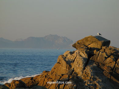 Rompeolas. 