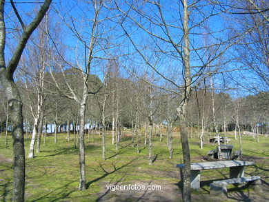 Parque Forestal da Lagoa. 
