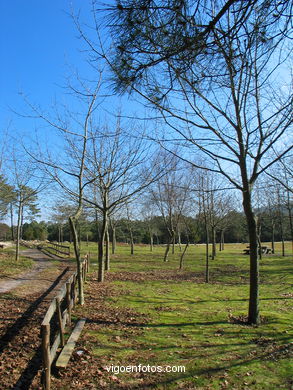 Parque Forestal da Lagoa. 