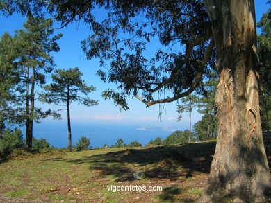Parque Forestal da Lagoa. 