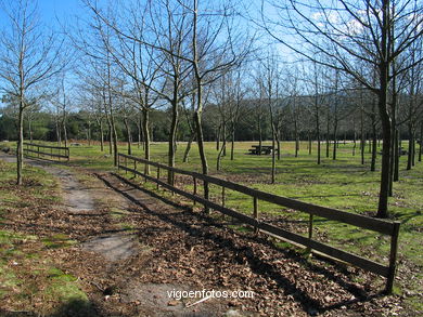 Parque Forestal da Lagoa - Baiona. 