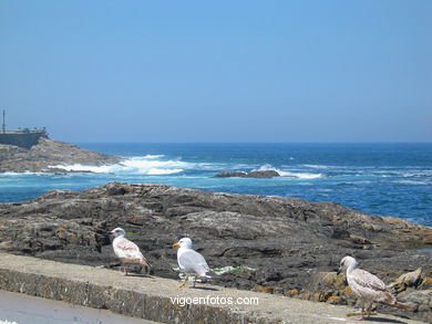 Paseo de Pinz�n - Baiona. 