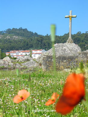 Zona de Santa Marta . 
