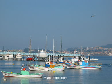 Puerto pesquero de Baiona. 