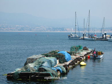 Puerto pesquero de Baiona. 