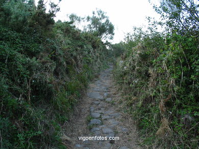 Excavaciones - O Facho - Cangas. 