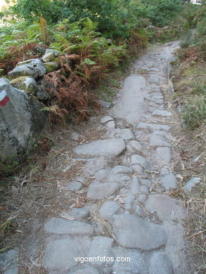 Excavaciones - O Facho - Cangas. 