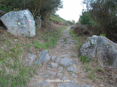 Excavaciones - O Facho - Cangas. 
