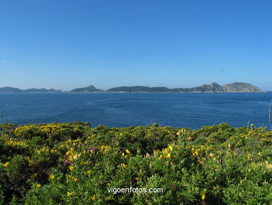 Cabo Home - Cabo Regueiro - Cangas. 