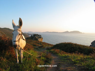 Donón - Vistas Cabo Home - Cangas.
