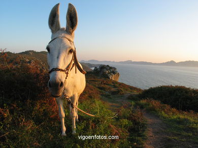 Don�n - Vistas Cabo Home. 