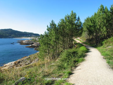Senda costera de las furnas - Cangas. 