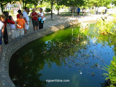 Jardines de "O Se�al" - Cangas. 