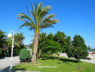 Jardines de "O Se�al" - Cangas. 