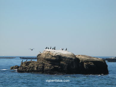 Playa de Areamilla - Cangas. 