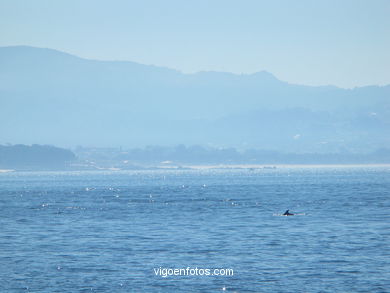 Playa de Areamilla - Cangas. 