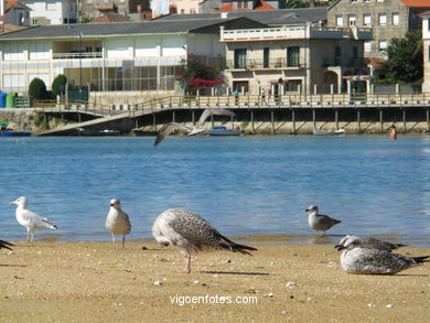 Playa de San Cibr�n - Cangas. 
