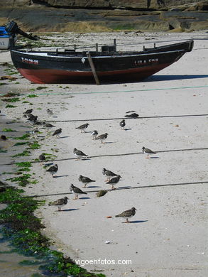 Playa de A Congorza - Cangas. 