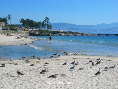 Playa de Rodeira - Cangas. 