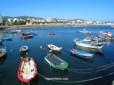 Puerto Pesquero - Cangas. 