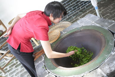 Traditionelle Teeplantage. 