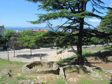 Castro del Castro. Edad de hierro. 