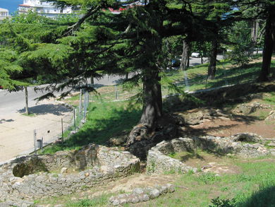 Excavaciones del Castro del parque del Castro.