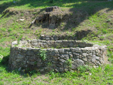 Castro del Castro. Edad de hierro. 