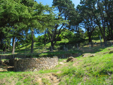 Excavaciones del Castro del parque del Castro.