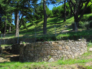 Castro del Castro. Edad de hierro. 