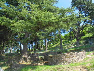 Castro del Castro. Edad de hierro. 