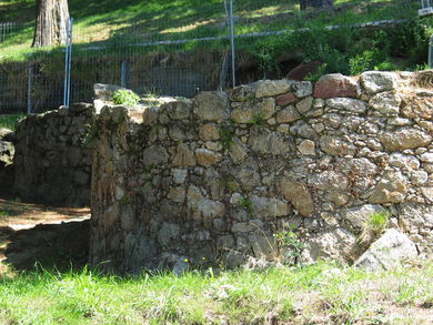 Castro del Castro. Edad de hierro. 