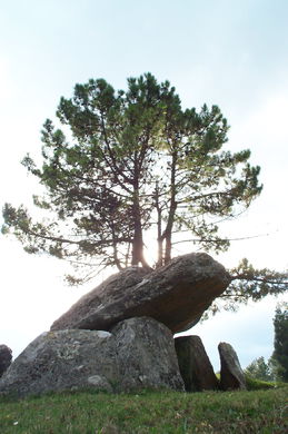 Megalito de San Cosme
-  (Map location). 