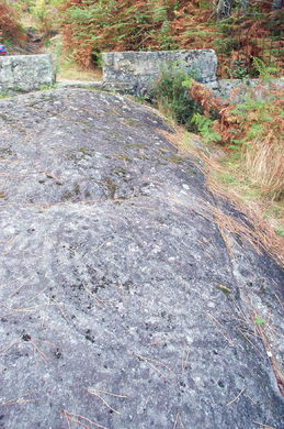 Detalle de 'Pedra Moura'
- (Ver mapa).